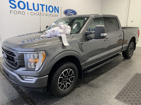 Ford F-150 2021 Gris